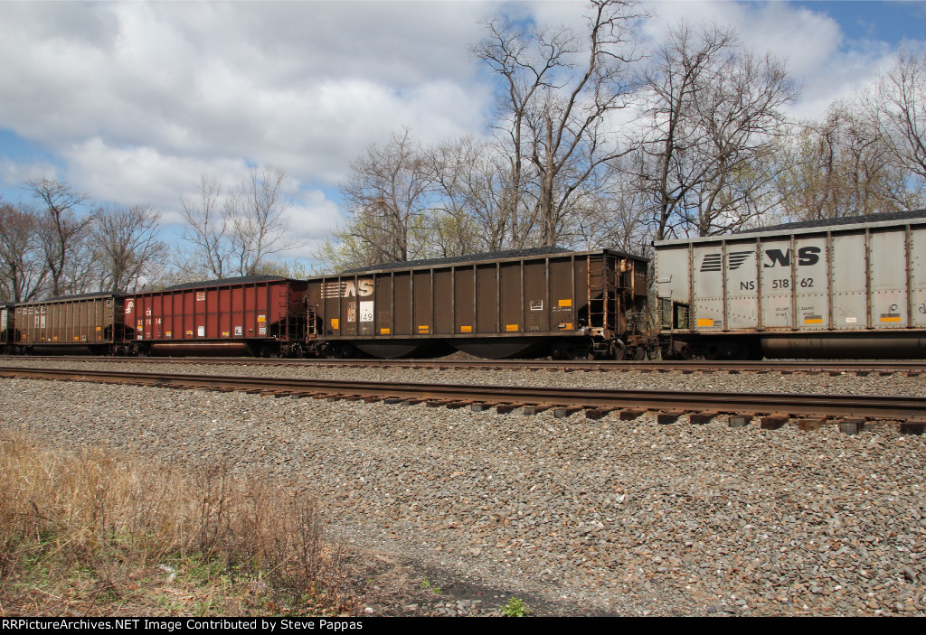 NS 10149